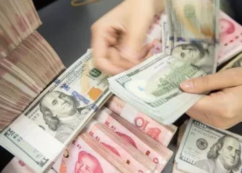 What are the measures for foreign exchange investment and financial management