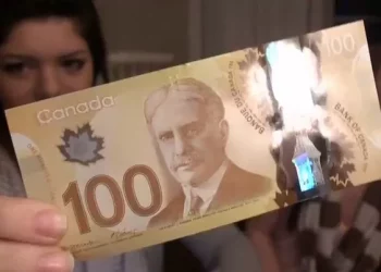 The Bank of Canada says the economy can handle higher rates and inflation risks are high