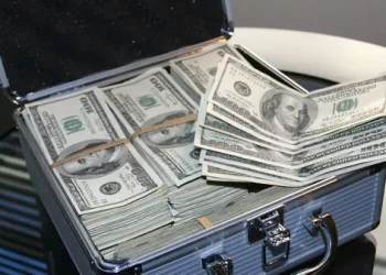 What is fry foreign exchange risk control nine tips